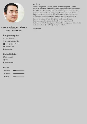 Ziraat Mühendisi Cv Örnekleri cv indir